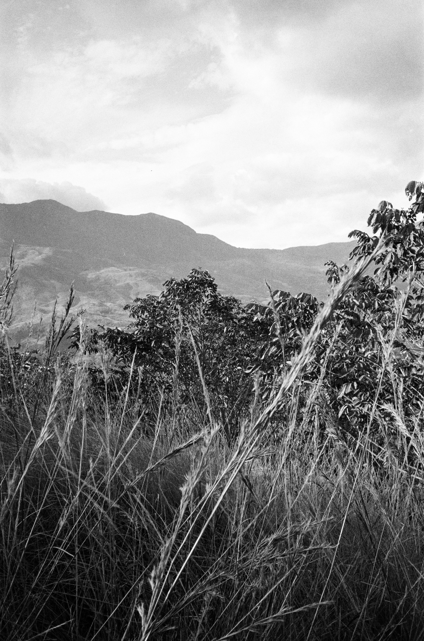 LA ESMERALDA - COLOMBIA